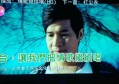 杭州求职：宠物龟销售岗位探寻